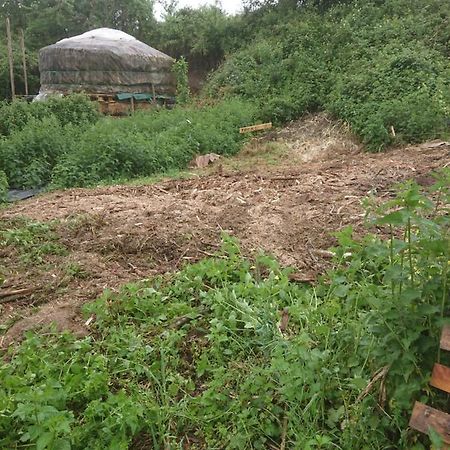 Yourte Rustique En Permaculture Creysse  Ngoại thất bức ảnh